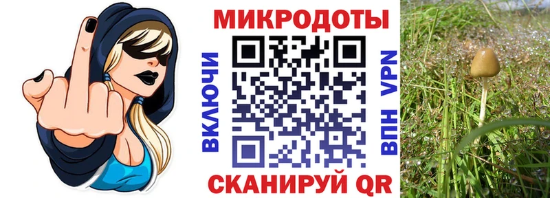 Галлюциногенные грибы прущие грибы  Почеп 
